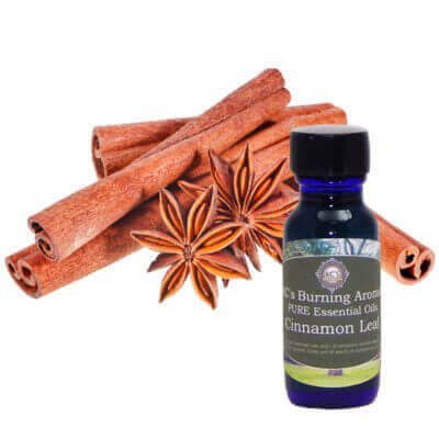Cinnamon Leaf Essential Oil - Cold Pressed