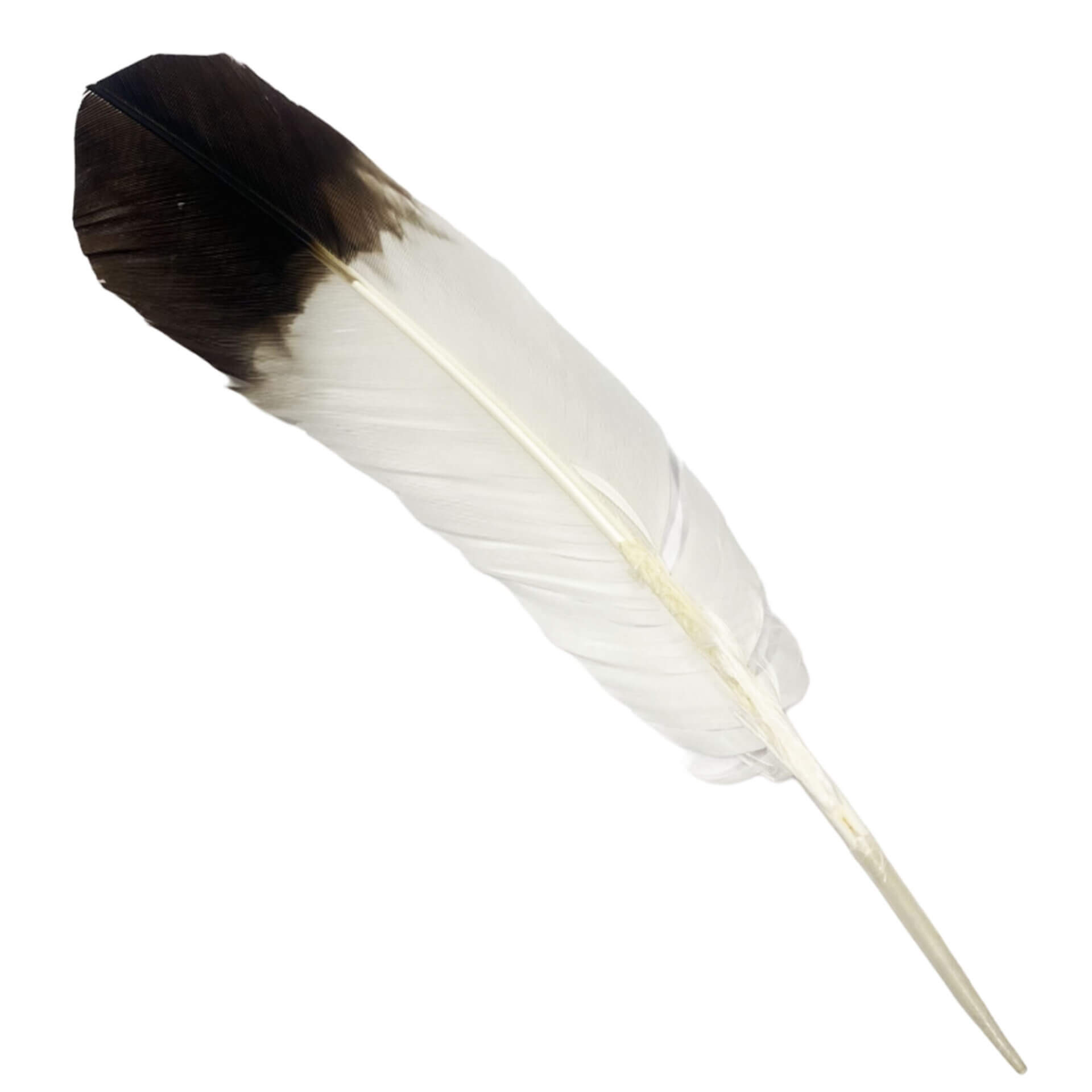 SMUDGING FEATHER