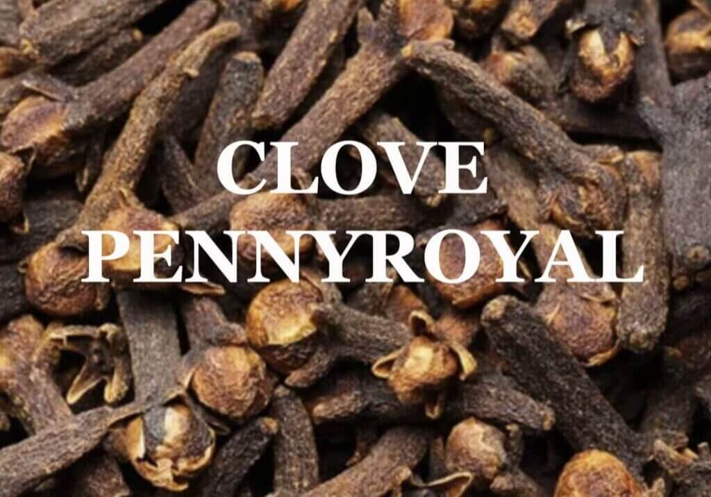 clove pennyroyal essential oil