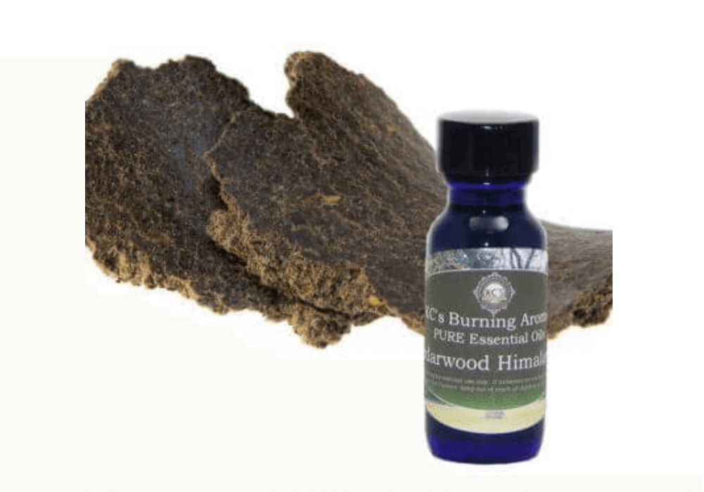 cedarwood himalayan essential oil